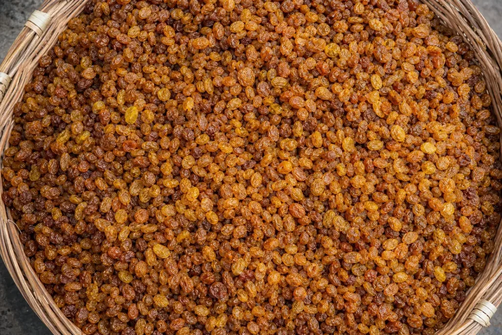 kashmar-sun-dried-raisin-wholesale-supplier-0-1788285646650