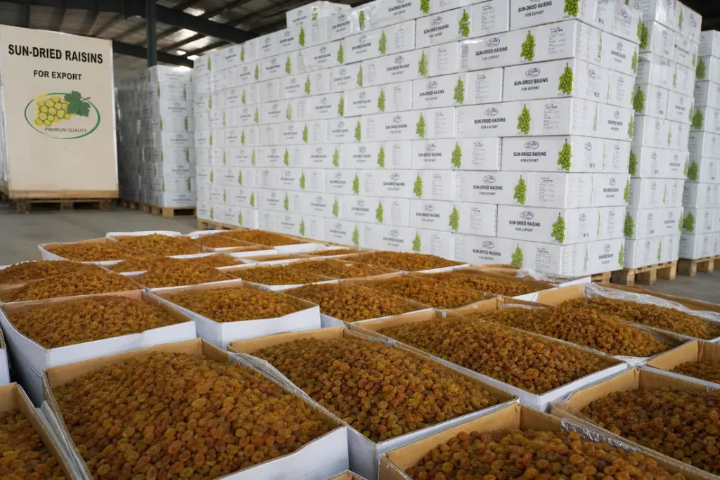 sun-dried-raisins-buying-selection-guide-0-1788285218536